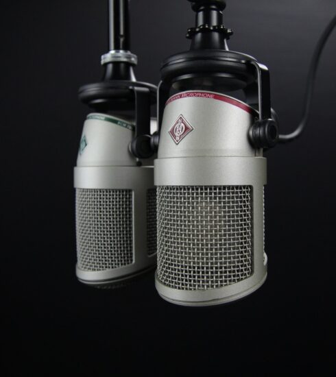 Two Gray Condenser Microphones