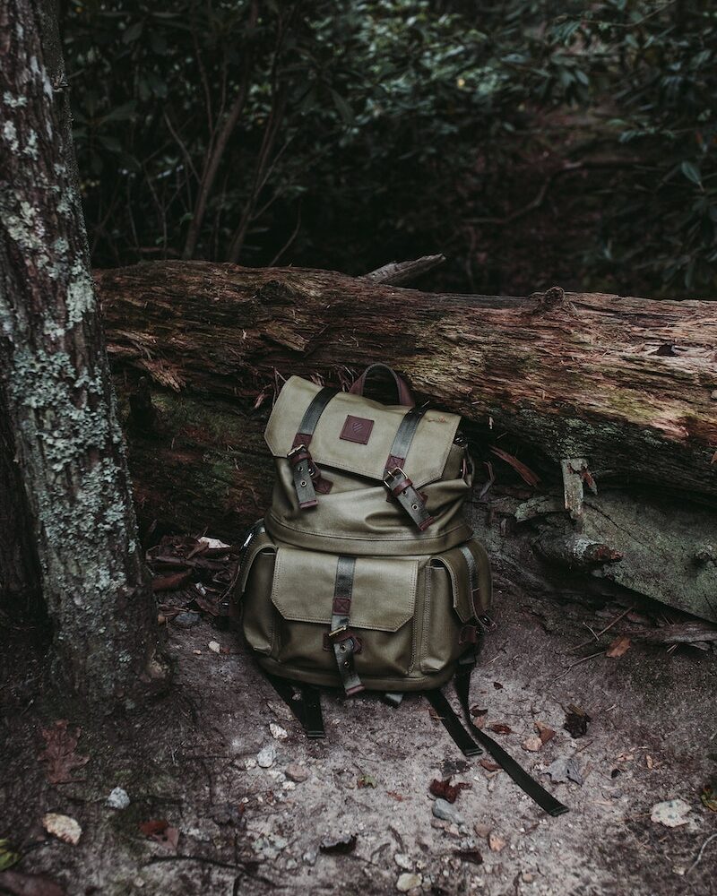 Dark Green Backpack near Tree Log