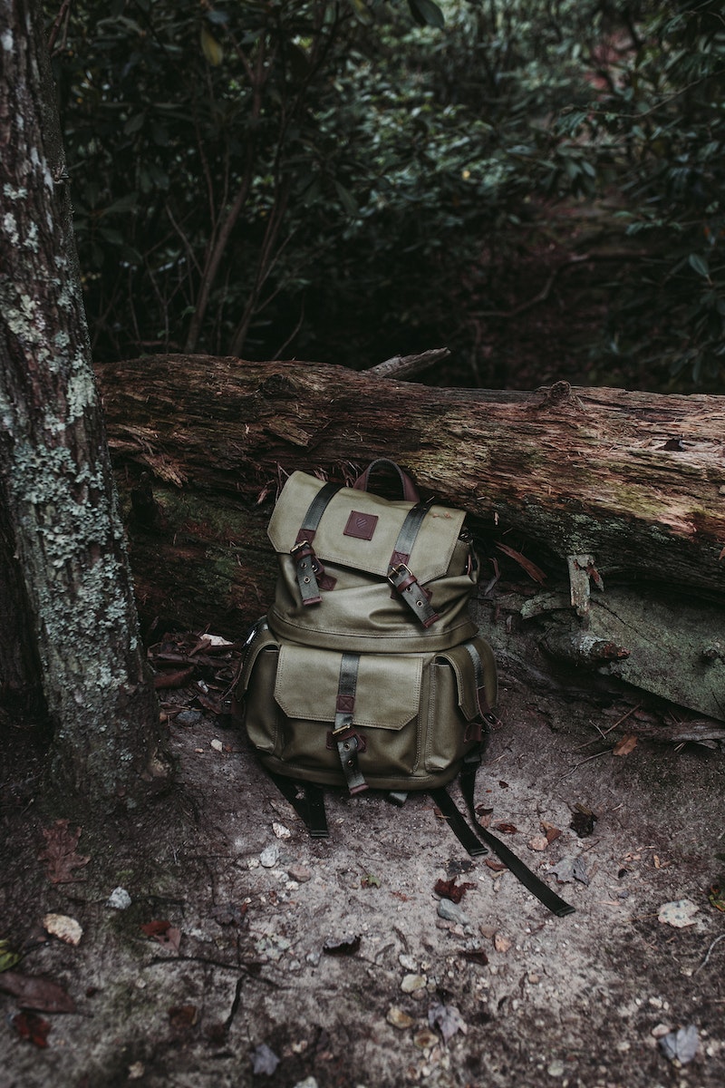 Dark Green Backpack near Tree Log