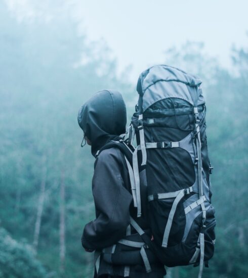 Man Wearing Black Hoodie Carries Black and Gray Backpacker Near Trees during Foggy Weather
